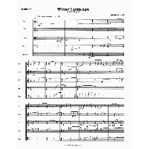 Winter Landsdcape for Woodwind Quintet (1999)